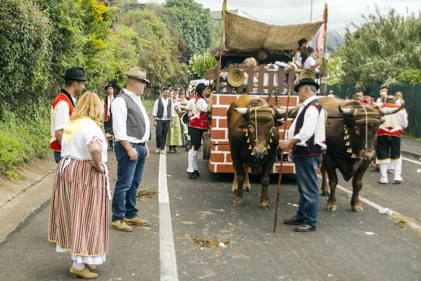 La Orotava, Tenerife, İspanya-Haziran 2018. San Isidro Labrador, La Orotava hac. Festivalin Ulusal Turizm ilgi olarak bildirilmiş ve Corpus Christi sonra kutladı. 