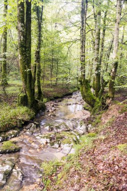 Bulutlu bir günde Navarre'deki Pireneler dağlarında nehir