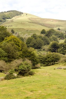Bulutlu bir günde Navarra Pireneler dağları