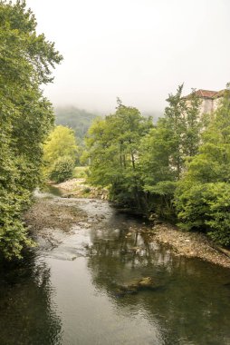 Bulutlu bir günde Navarre'deki Pireneler dağlarında nehir