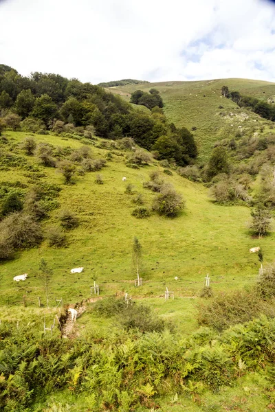 Pyreneesský Pohoří Navarře Zamračený Den — Stock fotografie