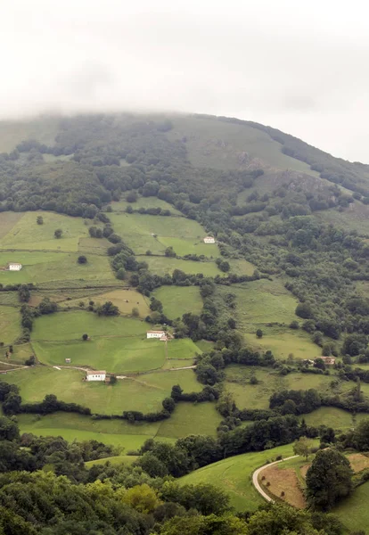 Pireneje Górach Navarra Pochmurny Dzień — Zdjęcie stockowe