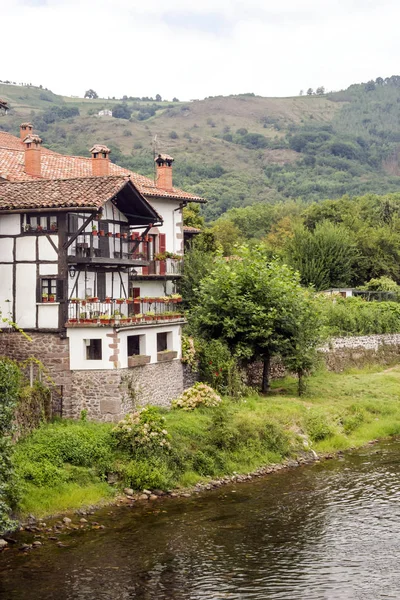 Fiume Nei Pirenei Montagne Della Navarra Una Giornata Nuvolosa — Foto Stock