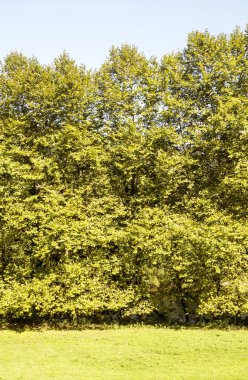 Bulutlu bir günde Navarra Pireneler dağları