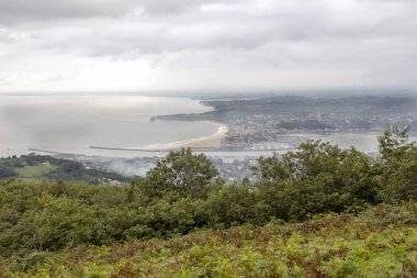 Otlaklar bulutlu bir günde Bask Ülkesi '