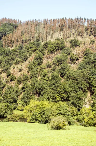 Bulutlu bir günde Navarra Pireneler dağları