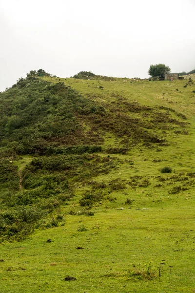 Łąki Kraju Basków Pochmurny Dzień — Zdjęcie stockowe
