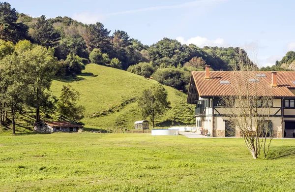 Weinberge Baskenland Einem Sonnigen Tag — Stockfoto