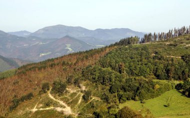 Güneşli bir günde İspanyol Bask Ülkesi'dağlar