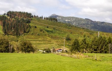 Güneşli bir günde İspanyol Bask Ülkesi'kırsal köyde Meadows.