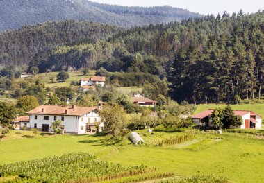 Güneşli bir günde İspanyol Bask Ülkesi'dağlar