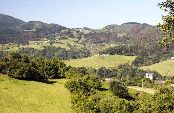 Louky Odlehlé Vesnici Španělském Baskicku Slunečný Den — Stock fotografie