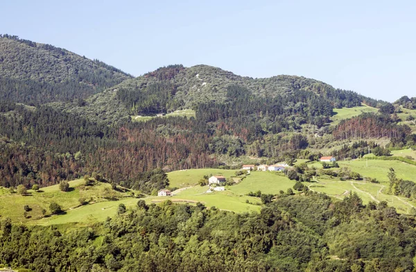Louky Odlehlé Vesnici Španělském Baskicku Slunečný Den — Stock fotografie