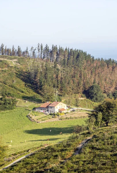 Гори Іспанській Баскській Країні Сонячний День — стокове фото