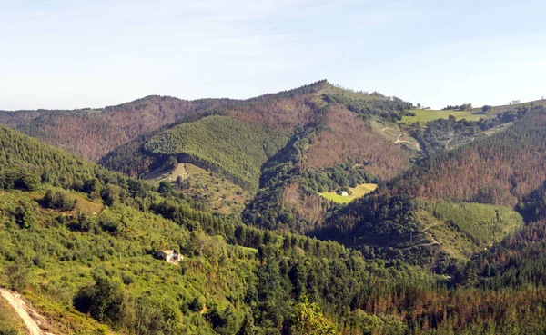 Góry Kraju Basków Hiszpański Słoneczny Dzień — Zdjęcie stockowe