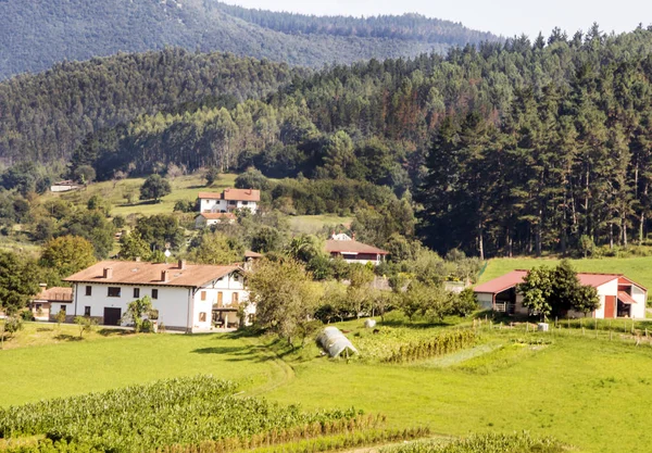 Berge Spanischen Baskenland Einem Sonnigen Tag — Stockfoto