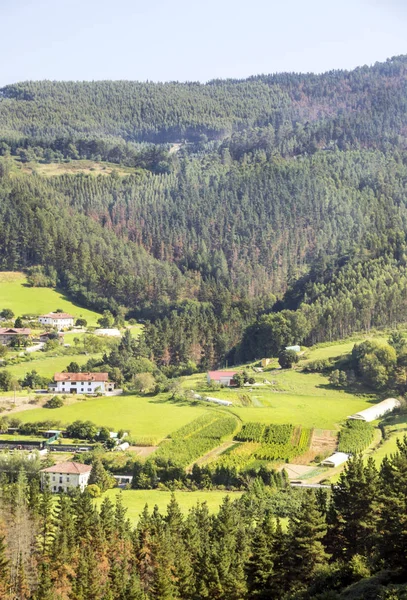 Güneşli bir günde İspanyol Bask Ülkesi'dağlar