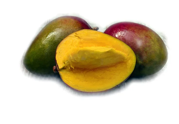 Mangos Rodeados Fondo Blanco —  Fotos de Stock