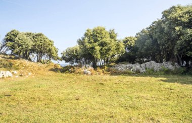 Alan Cantabria güneşli bir kırsal sahnesinde