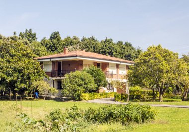 Evde güneşli bir günde ormanı İspanya'nın kuzeyinde.