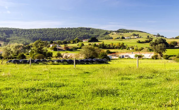 Campo Cantabria Escena Rural Día Soleado — Foto de Stock