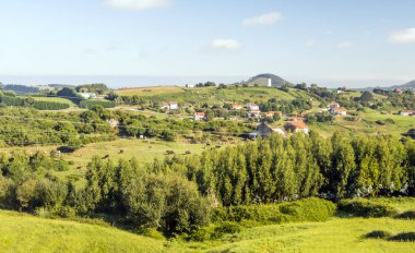 Asturias çayırda İspanya Kuzey güneşli bir günde ormanda