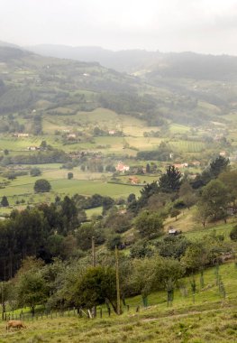 Güneşli bir günde İspanya'nın kuzeyinde kırsal kasaba