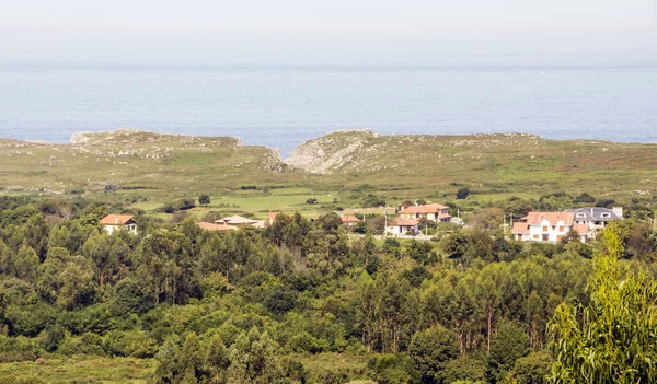 Bosque Norte España Con Mar Fondo —  Fotos de Stock