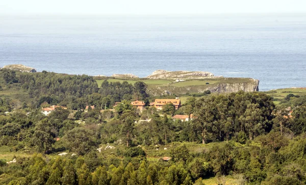 Skogen Norra Spanien Med Havet Bakgrunden — Stockfoto