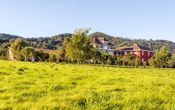 Feld Norden Spaniens Einem Sonnigen Tag — Stockfoto