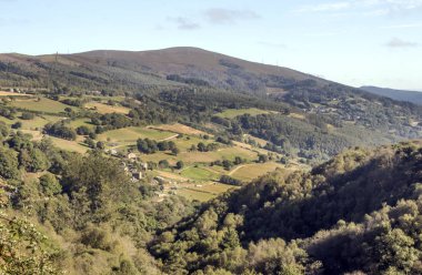 Güneşli bir günde İspanya'nın kuzeyinde yetiştirilen tarla.