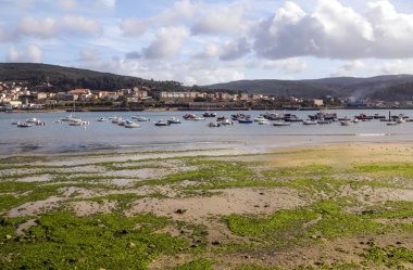 Bulutlu bir günde İspanya'nın kuzeyinde kum plaj.
