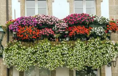 Duvardaki balkonda çiçekli pencereler