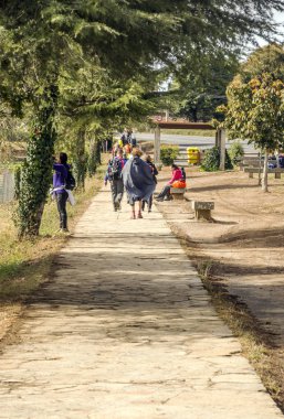 Camino de Santiago'da yürüyen insanlar