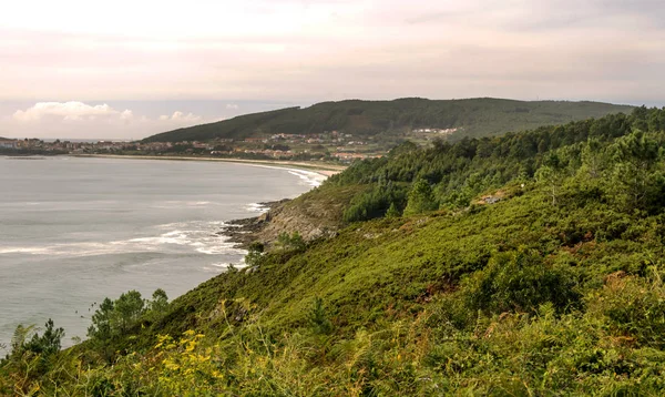 Ängar Nära Havet Solig Dag Norra Spanien — Stockfoto