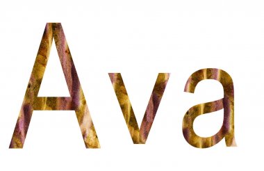 Adı Peter İngilizce beyaz arka plan ile çevrili