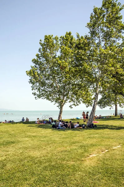 バラトネル ハンガリー 2019年6月 晴れた日に町の湖の近くの夏の日に草の中の観光客 — ストック写真