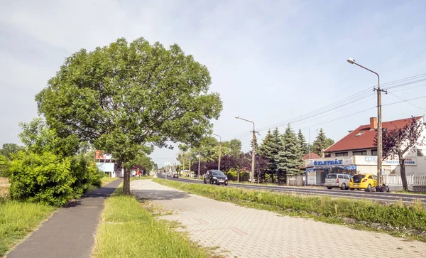 Balatonlelle Hungary June 2019 Дорога Венгерского Города Лугах Домами Деревне — стоковое фото