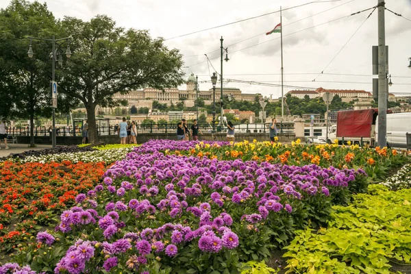 Budapest Magyarország Június 2019 Budapest Utcájától Embernél Egy Felhős Napon — Stock Fotó