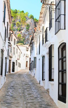 Döşeli yol, Spani bulunan bitki ve çiçekler ile eğimli