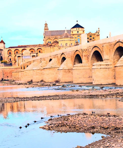 Cathedral naast de moskee van cordoba — Stockfoto