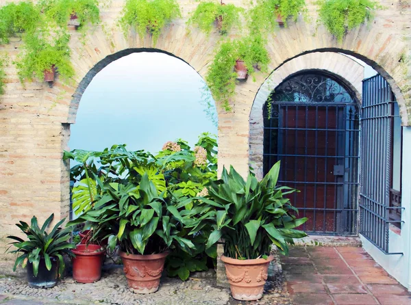 Courtyard with pots and a glass door and another behind bars — Stock Photo, Image