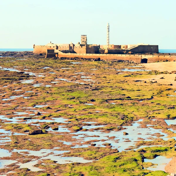 Leuchtturm umgeben von einem Schloss in der spanischen Stadt Cadiz — Stockfoto