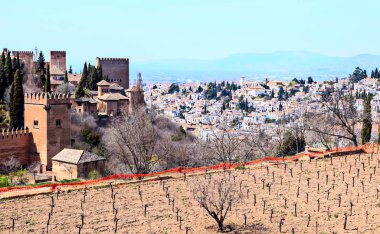 alhambra nasrid Anıtı