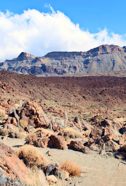 Vista de Teide localizado na ilha de Tenerife, na Espanha é um vo — Fotografia de Stock