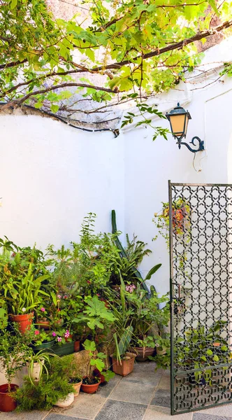 Close street with white houses decorated with pots — Stock Photo, Image