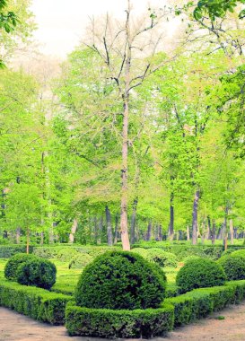 Aranjuez bahçelerinde dikey olarak, ağaçlar her ikisinde de 