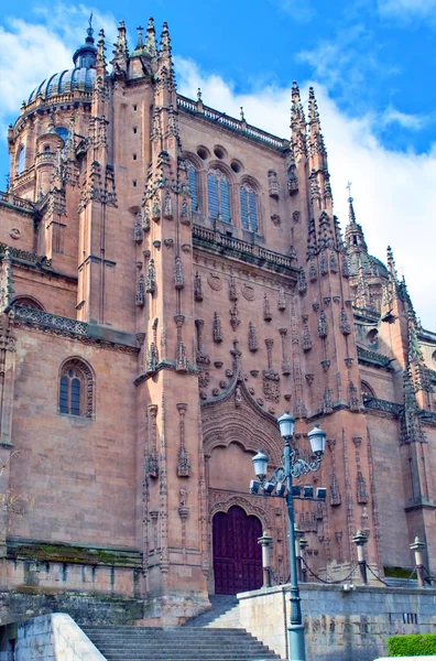 View of the facade of the cathedral of Salamanca with its pilast — Stock Photo, Image