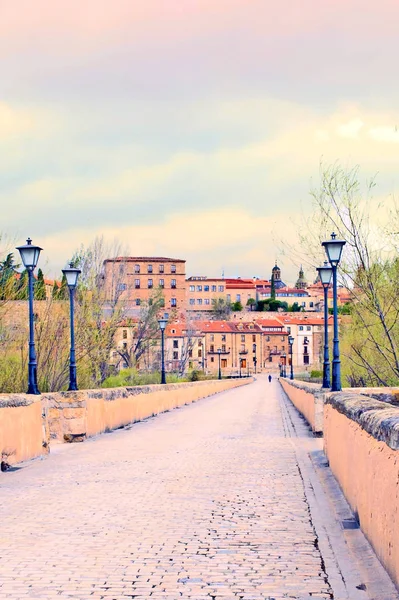 Pisuerga Köprüsü 'nden Salamanca şehrinin manzarası — Stok fotoğraf