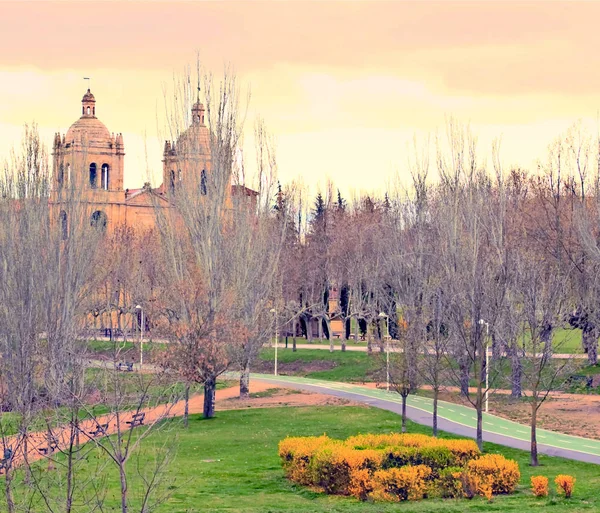 İspanya 'nın Salamanca şehrinde çiçekli ve koltuklu park — Stok fotoğraf